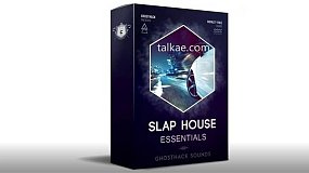 音效素材-Slap House 540个时尚拍打节奏感电子音效和旋律素材包