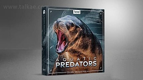 音效素材-Aquatic Predator 1085种海狮海豹海豚海象动物无损音效