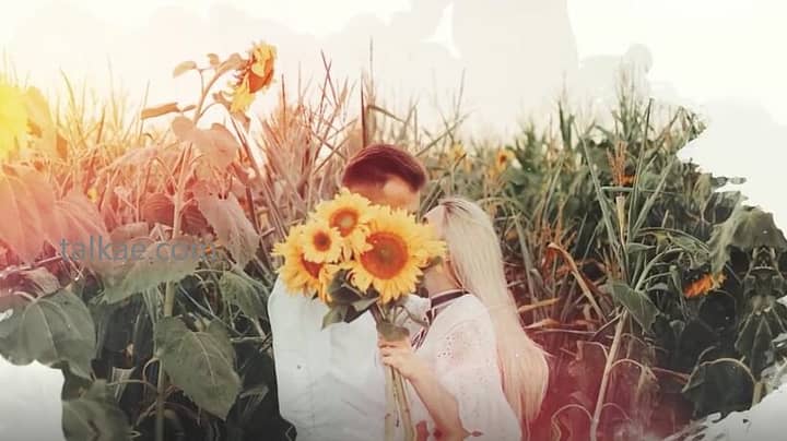 PR模板-Cinematic Reveal Effects 水墨笔刷效果相册婚礼幻灯片电影片头