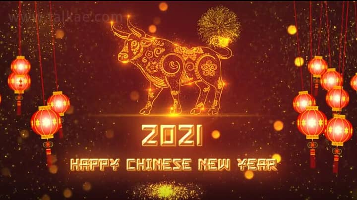 AE模板-Chinese New Year 2021新年烟花灯笼粒子图案描绘开场片头