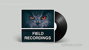 音效素材-Field Recordings 88个自然人类水实地录音音效采样素材包