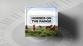 音效素材-Blastwave FX Horses on the Range 骏马奔跑嘶叫音效