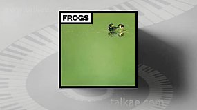 音效素材-Big Room Sound Frogs 夏日青蛙蟾鸣自然环境音效素材