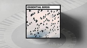 音效素材-Essential Birds 27个鸟类叫声拍打翅膀音效
