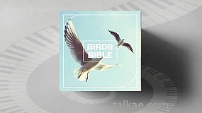 音效素材-Birds Bible 各种鸟叫声翅膀拍打无损音效