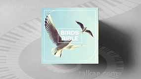 音效素材-Birds Bible 各种鸟叫声翅膀拍打无损音效