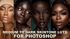 LUTS预设-Ultimate Skin Tone LUT Bundle 黑白皮肤3D调色预设三套