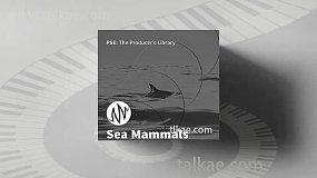音效素材-PSE The Producer’s Library Sea Mammals 海洋哺乳动物音效