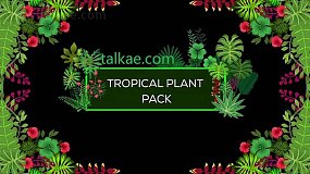 AE模板-Tropical Plant Pack 热带植物花卉矢量元素绿色文字标题动画