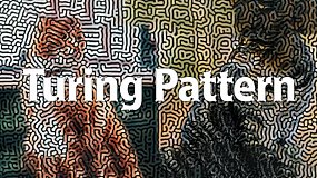 AE插件-Turing Pattern v1.0 Win 创意抽象图灵纹理效果生成工具