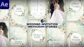 AE模板-Wedding Invitation Instagram Stories 花卉婚礼请柬电子邀请函