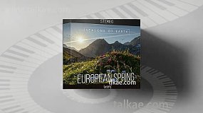 音效素材-European Spring Stereo 春天户外森林大自然虫鸣鸟叫溪流环境无损音效