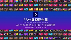 AT素材包048-PR分屏预设合集