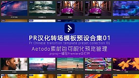 AT素材包044-PR汉化转场预设合集包含转场调色标题模板预设01