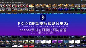 AT素材包045-PR汉化转场预设合集包含转场调色标题模板预设02