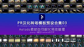 AT素材包047-PR汉化转场预设合集包含转场调色标题模板预设04