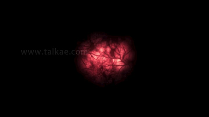 身体透视穿透血管血液流动特效素材-05