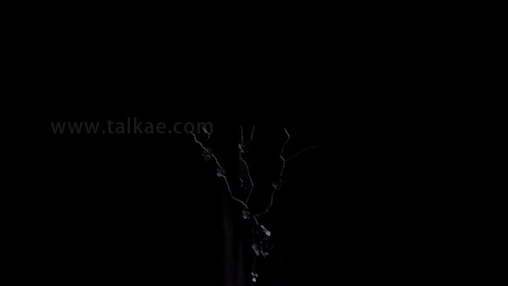 裂缝裂纹生长动画特效素材Cracks-04