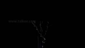 裂缝裂纹生长动画特效素材Cracks-04