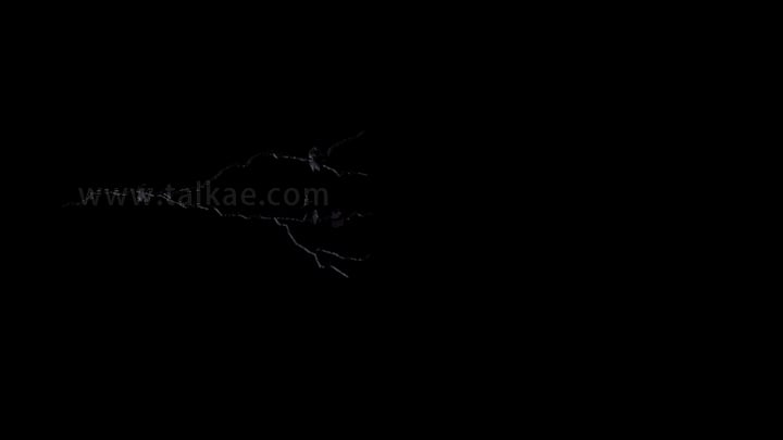 裂缝裂纹生长动画特效素材Cracks-06