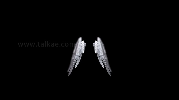 4k天使之翼正面_1