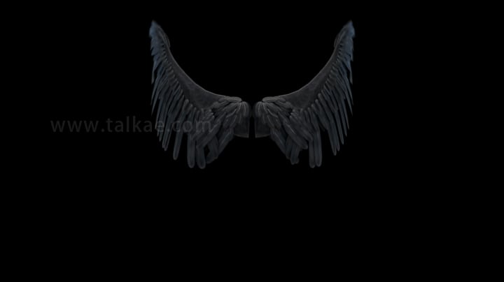 黑暗翅膀循环拍打_3