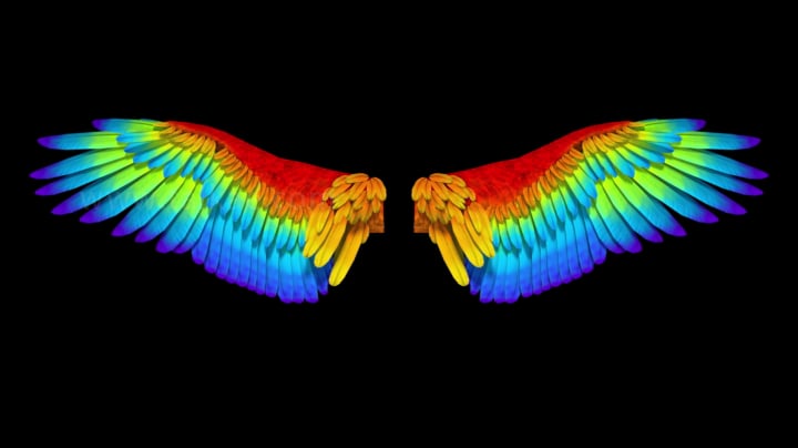 彩虹天使翅膀正面开口_1