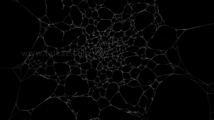 4K 蜘蛛网正视图_2