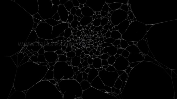 4K 蜘蛛网正视图_1