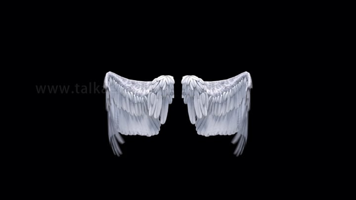 天使翅膀循环拍打_1