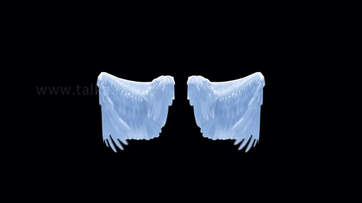 顶光天使翅膀循环拍打_3