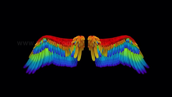 彩虹天使翅膀循环拍打_1