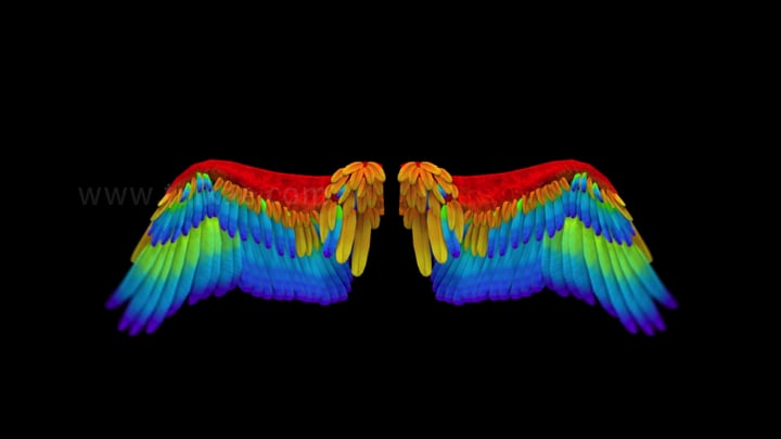 彩虹天使翅膀循环拍打_2