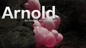 Arnold阿诺德渲染器Cinema 4D To Arnold 2.5.2.1 Cinema4D R19/R20