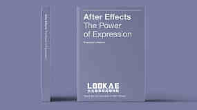 AE表达式实例详解使用手册PDF英文说明书 After Effects The Power of Expression Book