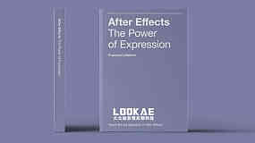 AE表达式实例详解使用手册PDF英文说明书 After Effects The Power of Expression Book