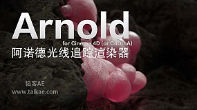 Arnold v2.6.2 For C4D R20/R21 C4D阿诺德光线追踪渲染器