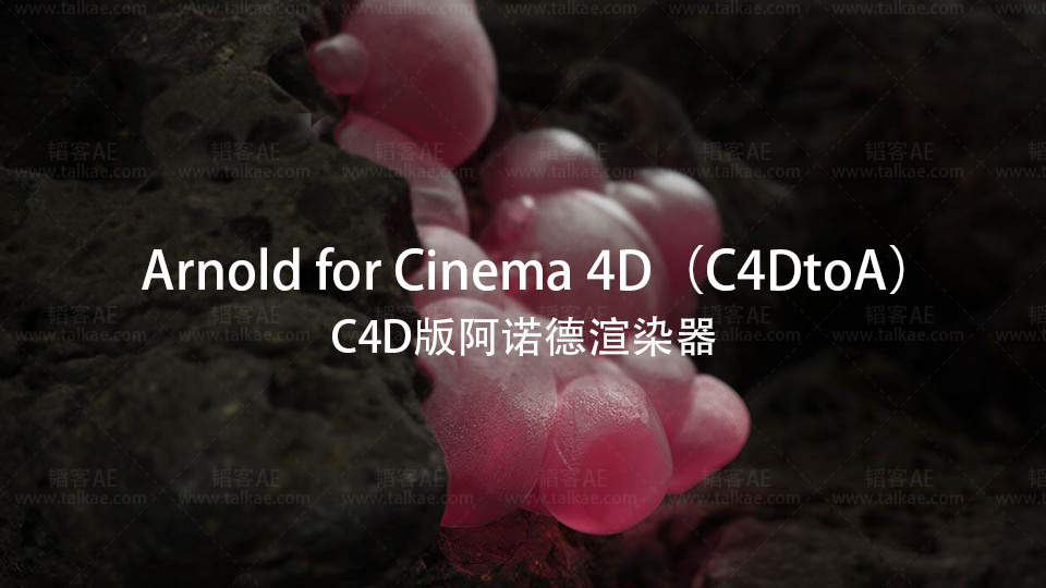 C4D阿诺德渲染器Arnold 3.0.3 for Cinema 4D R19-S22 - 韬客AE