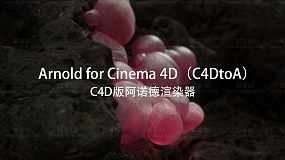 Solid Angle C4D to Arnold v3.0.1 for Cinema 4D R19-R21 Win 简称 C4DtoA