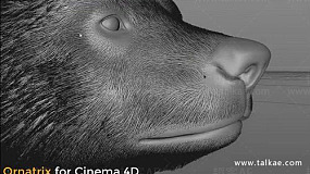 C4D高级发毛头发模拟插件 Ornatrix v1.0.0.21988 for Cinema 4D Win