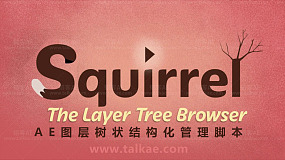 AE图层树状结构化管理扩展 Aescripts Squirrel V1.5.1 + 使用教程