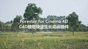 Forester for Cinema 4D 植物快速生长插件