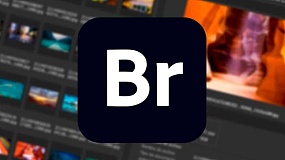 Adobe Bridge 2020.10.1.1.166 SP 一键安装破解版