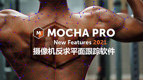 Mocha Pro 2021 v8.0.1 SAL 专业平面跟踪摄像机反求软件