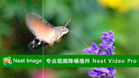 达芬奇插件-ABSoft Neat Video Pro 5.4.1 达芬奇专业视频降噪插件