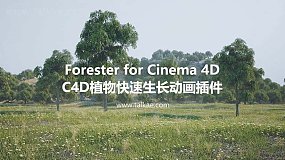 C4D插件-Forester v1.5.4 Win 花草树木森林绿植生成工具+Expansion Pack预设包