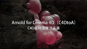 C4D插件-Arnold SolidAngle C4DtoA 4.2.4 Win R21-R26 阿诺德渲染器