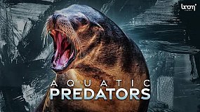 1085种海豚海狮海豹海象动物咆哮口哨音效 BLSFX Aquatic Predators